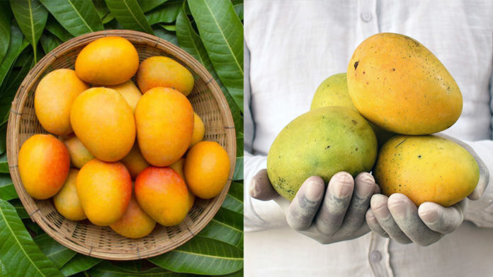 Craving for Mangoes in this Pandemic? Here Are Ten Stores in Delhi/NCR to Help You Out.