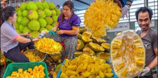 JACKFRUIT : POWERHOUSE OF HEALTH BENEFITS
