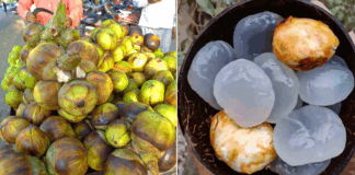 “Ice Apple: Nature’s Secret to Beat the Heat”