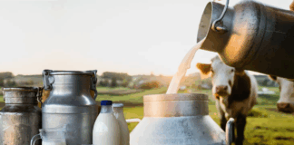THE SECOND LARGEST MILK CONSUMING COUNTRY – INDIA