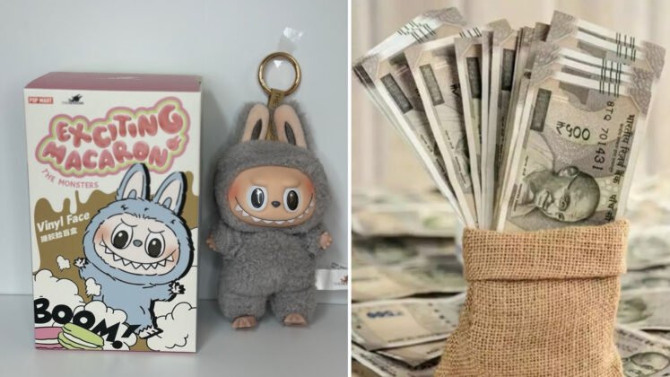Labubu Toy in India: Price, Where to Buy, and Why It’s Viral - India ...
