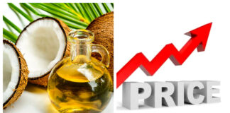 Coconut Oil Price Surge 2025: What’s Causing the Hike?